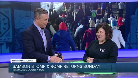 Samson Stomp and Romp returns Sunday