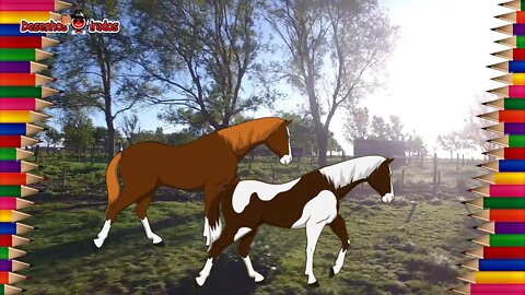 Como Desenhar Dois Cavalos Galopando | How to Draw Two Galloping Horses |Desenhos Irados Nº 22 |2021