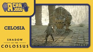 Celosia | Shadow of the Colossus #11