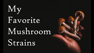 My Favorite Mushroom Strains (2021)