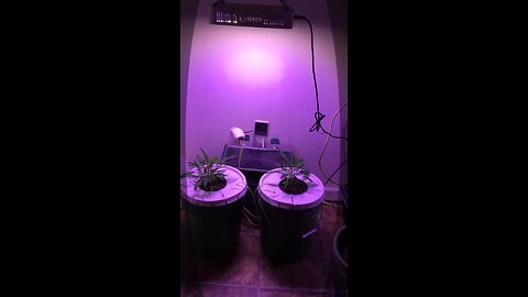 DYI Hydroponics system