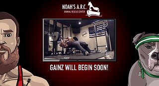 Gym Session w/Hank-a-Tank & Dufus [Week 4] - Back & Traps // Animal Rescue Stream :)