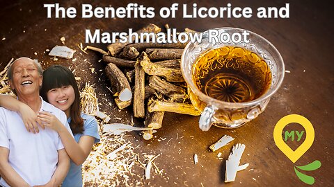The Benefits of Licorice and Marshmallow Root