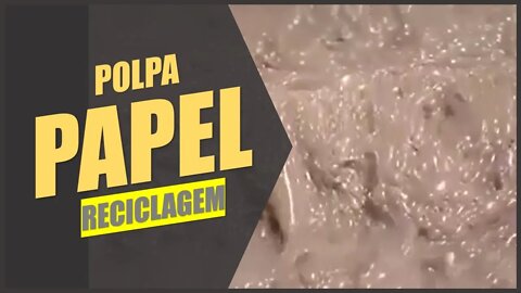 Reciclagem de Papel | Por Dentro da Fábrica