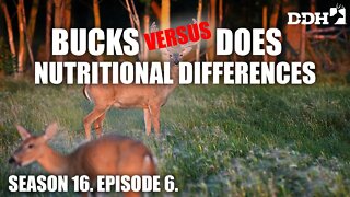Whitetail Nutritional Needs | Deer & Deer Hunting TV