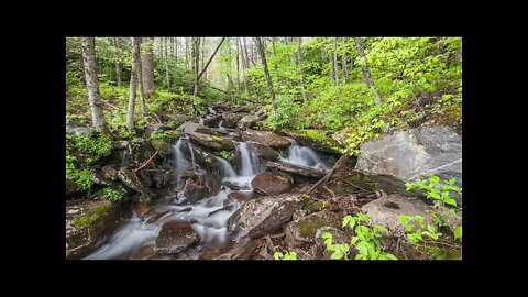10 Hours Small Waterfall on Creek, Water Rushing, Relaxation/Sleep Sounds, Study/Focus Sounds