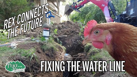 RK25 Backhoe breaks water line - adds water access to farm animals - E111