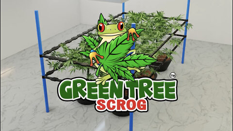 Revolutionize Your SCROG - Patent-Pending Green Tree Scrog