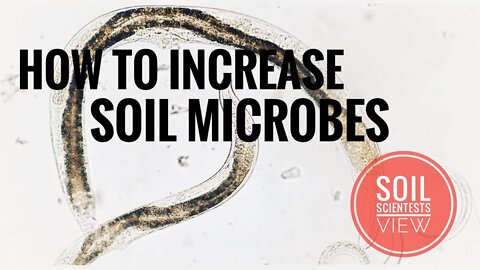 HOW TO INCREASE SOIL MICROBES? A SOIL SCIENTISTS VIEW ON SOIL BUGS | Gardening in Canada