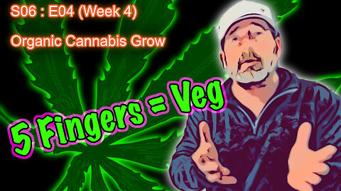 S06 E04 Organic Cannabis Grow (Week 4) How to Know if You're in Seedling or Veg Stage