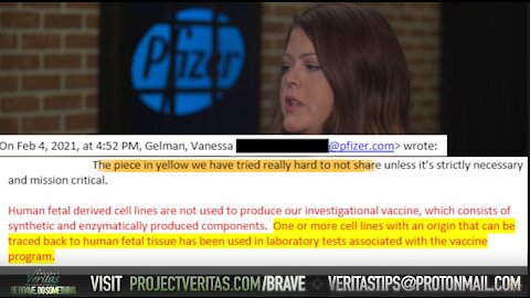 Pfizer Whistleblower LEAKS Execs Emails EXPOSING Suppression of Covid Vax Info From Public