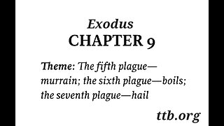 Exodus Chapter 9 (Bible Study)