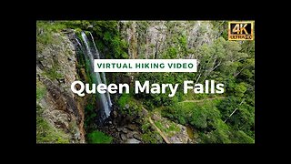 Virtual Hiking Video - Walking on Treadmill - 30 Min Virtual Hike - Queen Mary Falls