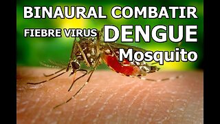 BINAURAL COMBATIR FIEBRE POR VIRUS DENGUE