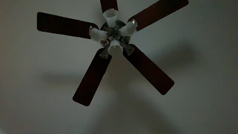 Why we stare at the ceiling fan