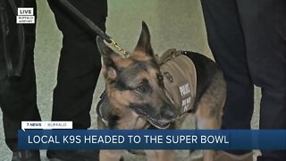 NFTA K-9's are going to the Super Bowl