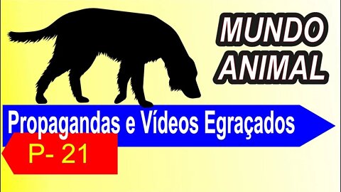 Propagandas e Vídeos Engraçados / P - 21