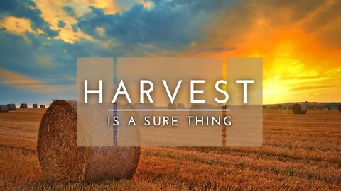 Harvest Is A Sure Thing