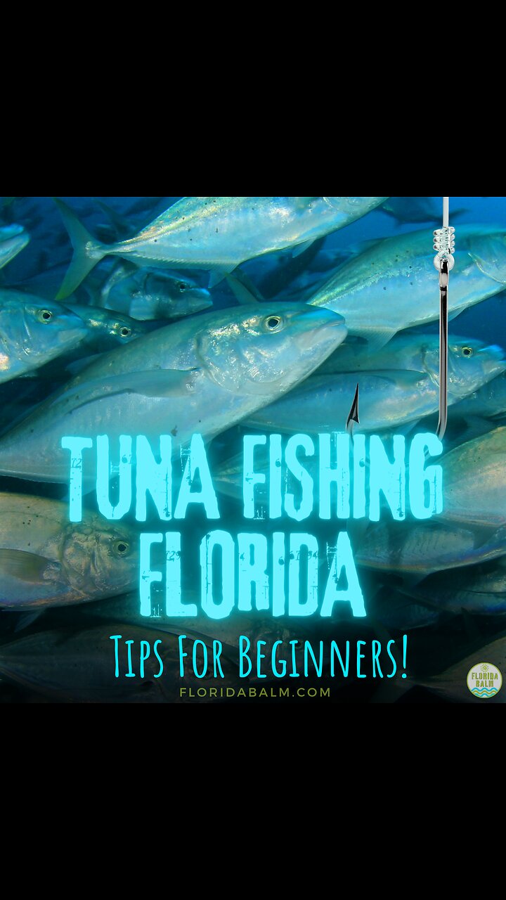 Tuna Fishing Florida: Tips for Beginners on how, where and when to start!