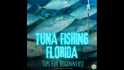 Tuna Fishing Florida: Tips for Beginners on how, where and when to start!