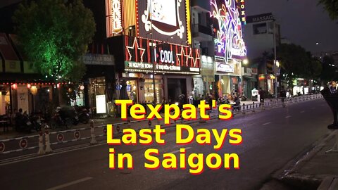 The Texpat's Final Days in Saigon -- Will miss my friends and kitties