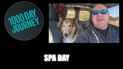 1000 Day Journey 0176 Dog Spa Day