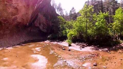 360 Video Tour of Call of the Canyon Picnic Area in Coconino National Forest - Sedona Arizona