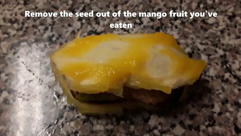 Grow Mango Tree From A Mango Seed =)