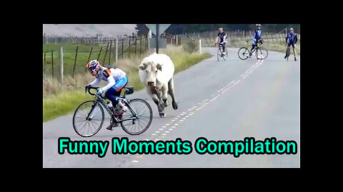 Funny Moments Of The Year Compilation 😆🔥🐷