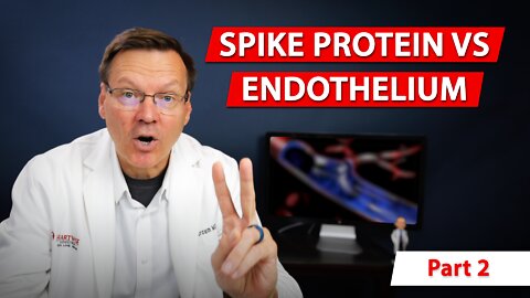 What you need to know about the endothelium and spike protein // Part 2