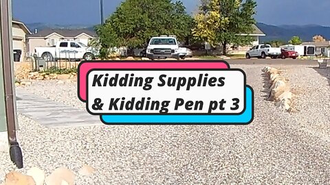 All that Kidding Stuff - Supplies, Hay & Kidding pen pt 3