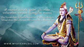 Vedic Chanting Maha Mrityunjaya Mantra Vedic Hymns by 21 Brahmins 720p
