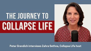 How and why we decided to start Collapse Life