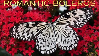 Most beautiful boleros of your life - Romantic instrumental boleros | Memory Melodies