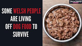 The Cost Of Living Crisis Is Forcing Some Welsh People To Eat Pet Food As They Can't Afford To Shop
