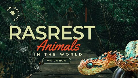 Rarest Animals in the World | Full Length.