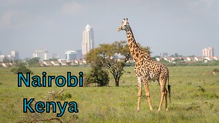 Nairobi Kenya: A Fusion of Culture And Nature