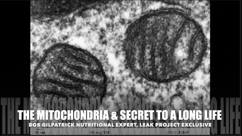 The Mitochondria & Secret to Long Life, Nutritional Expert, Bob Gilpatrick
