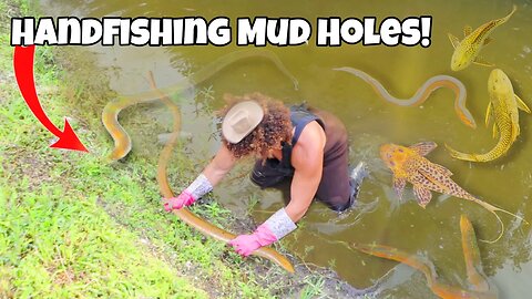 Catching DEADLY Fish From MUD HOLES!