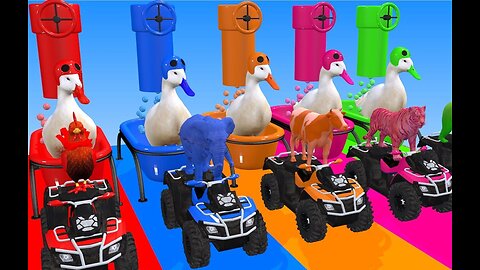 5 Giant Duck Cartoon - kick the ball and change color with Cows, elephants, chickens, tigers, bears!