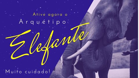 Ativação imediata arquétipo Elefante