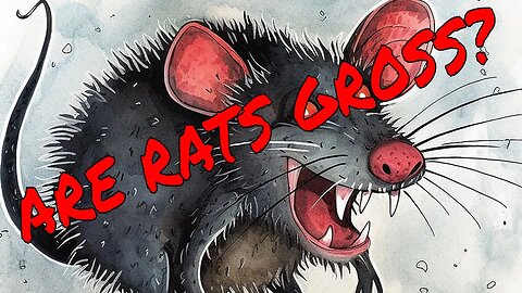 Are (Pet) Rats Gross?