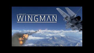PROJECT WINGMAN LIVE TWITCH NEWXXX GAMES PEDROSK GAMER