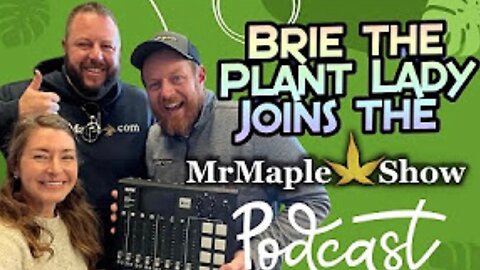 Interview With Author And Host of Brie The Plant Lady, Brie Arthur | MrMaple Show Podcast