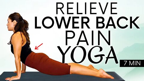 Do You Sit Down ALL Day? Yoga for Chronic Lower Back Pain & Muscle Tension! with Eliz