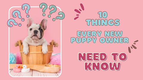 Puppy Parenting 101: Top 10 Essentials for New Owners