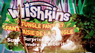 X2 Wishkins Jungle Surprise Toy Unboxing