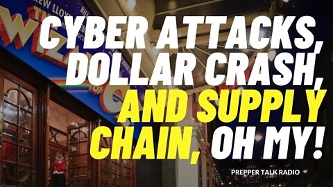 PTR Episode 167 | Cyber Attacks | Dollar Collapse | Supply Chain