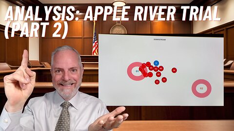 REAL LAWYER | Apple River Stabbing Trial (Part 2)