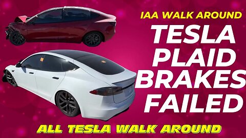 IAA Walk Around ALL TESLA’s Model S Plaid. Cheapest Plaid In The Country